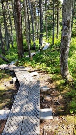 a1sx2_Thumbnail1_horestail_falls.jpg